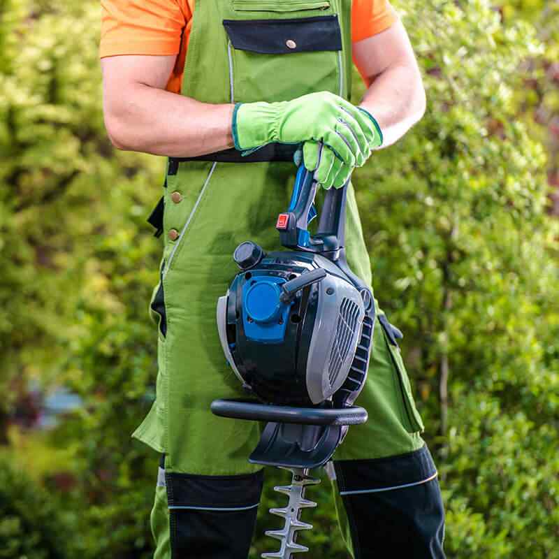 https://cinjardinerias.com/wp-content/uploads/2019/08/home_4_services.jpg