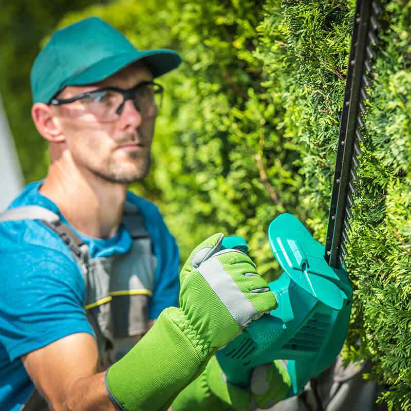https://cinjardinerias.com/wp-content/uploads/2019/08/team_05.jpg
