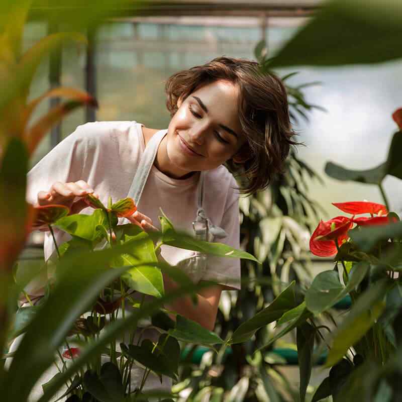 https://cinjardinerias.com/wp-content/uploads/2019/08/team_06.jpg