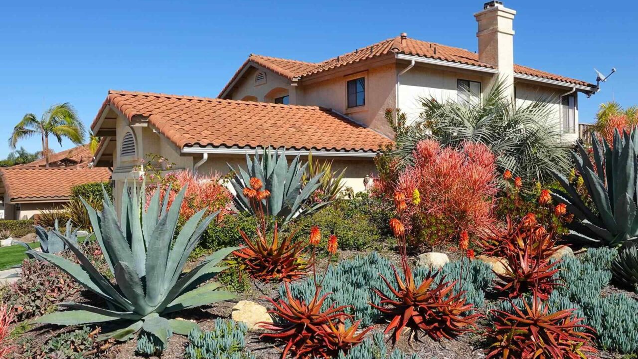 Plantas de bajo mantenimiento para hermosos jardines