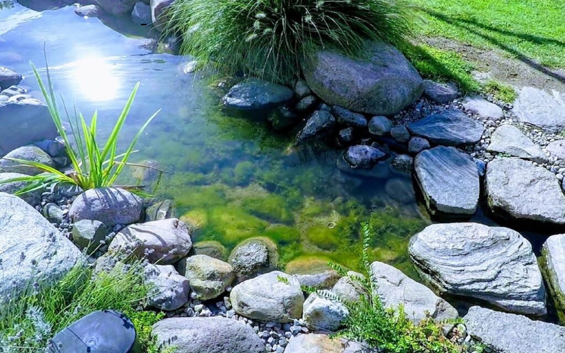 https://cinjardinerias.com/wp-content/uploads/2024/12/estanquesarroyo-jardin-1920x1200-1.jpg
